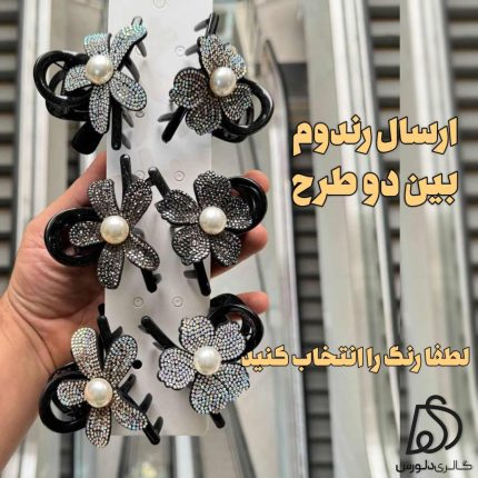 کلیپس مجلسی نیگنی سوارسکی