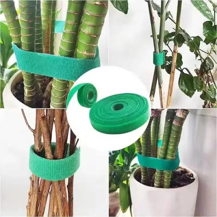چسب نگهدارنده گل و گیاه و نظم دهنده