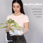 دستکش ظرفشویی توپشمی ساق بلند ضدحساسیت و ضدتعریق
